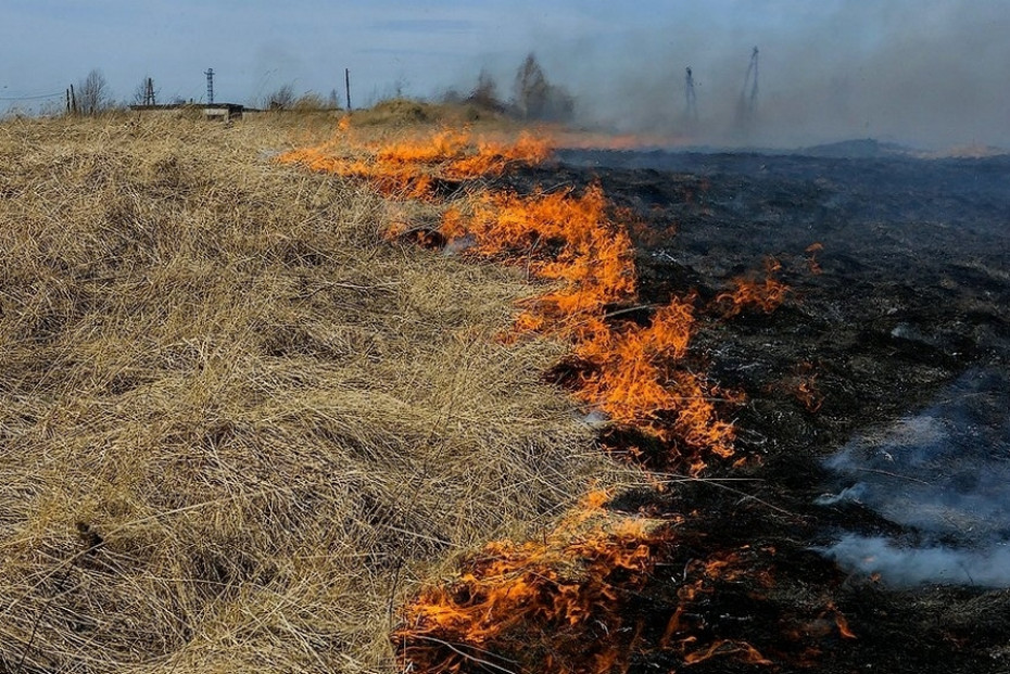 Искра и ветер – опасность рядом