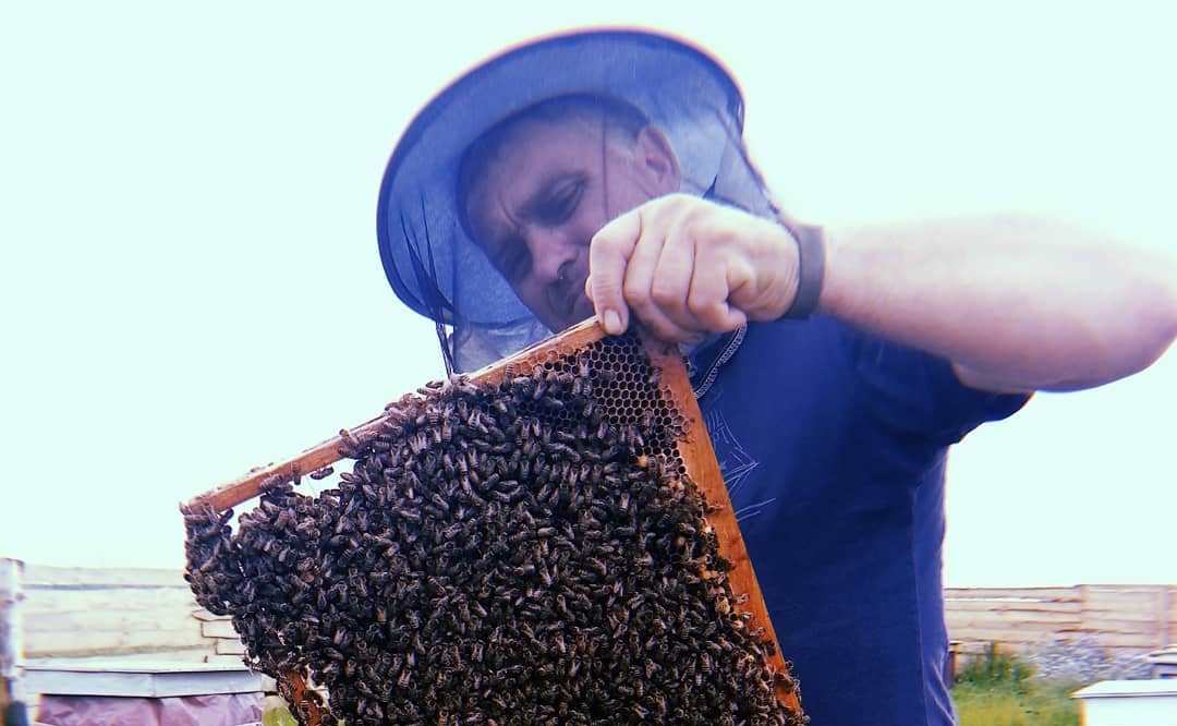 Вадим Худовец: «Меня пчелы поменяли на 360 градусов»