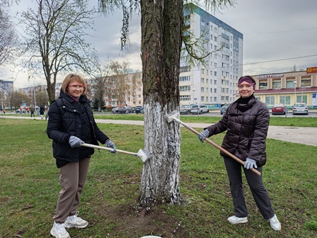 Чисто там, где дружно