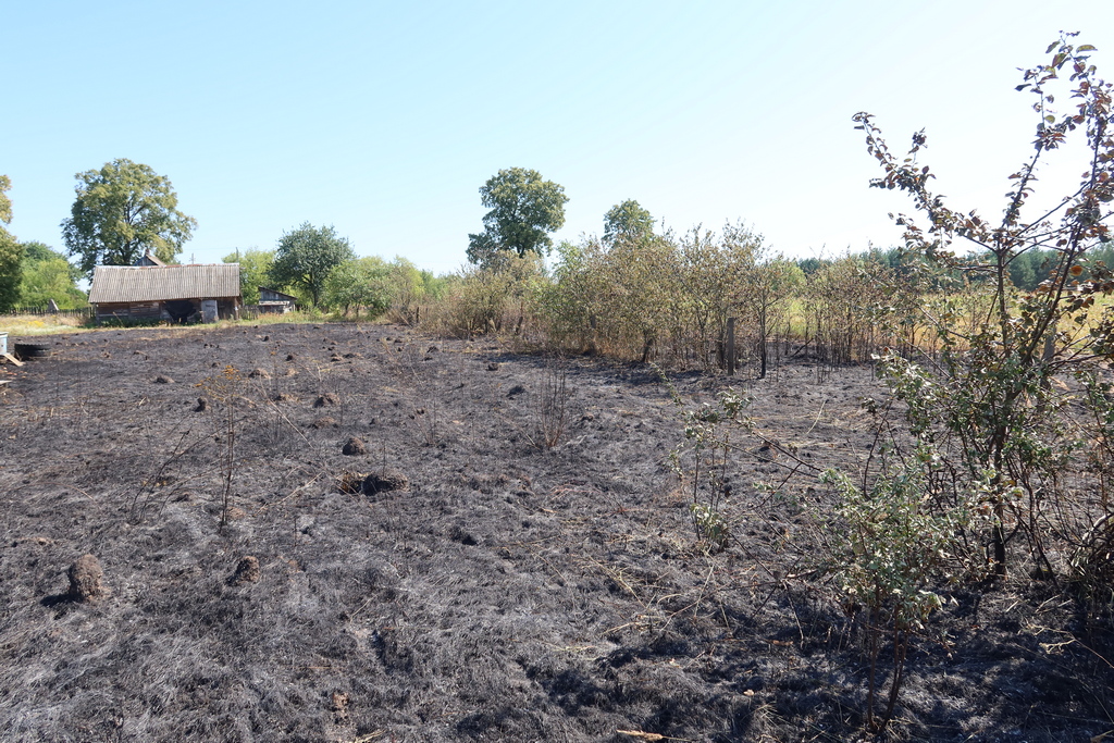 В Жлобинском районе пенсионерка сжигала мусор и при тушении пожара получила ожоги