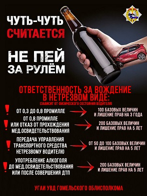 «Пьяному и бесправному не место на дороге!»